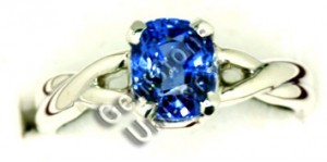 Cornflower color Blue Sapphire set in Caduceus double Helix Serpent Ring.Gemstoneuniverse.com