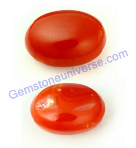 Natural Organic Japanese Organic Red Coral of 4.34 carats.Ventral and Dorsal Views to show wood grain effect. Gemstoneuniverse.com