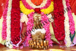 A closer view of Surya Vigraha at our Temple Gemstoneuniverse