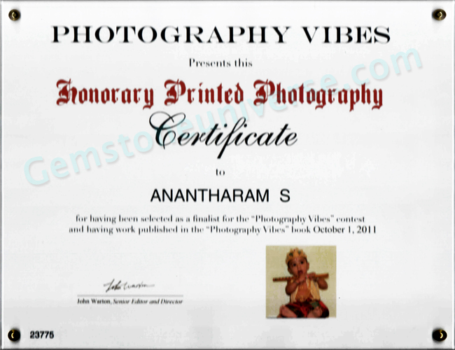 Photography Vibes Certificate Lauding Ananth's Photo Photography Vibes Certificate Lauding Ananth's Photo