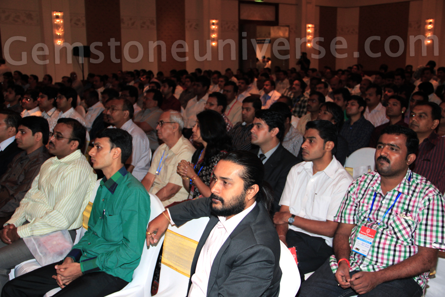 Section of the Audience with Gemstoneuniverse Delegates