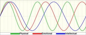 Biorhythms - cyclical patterns that follow in a sine wave fashion