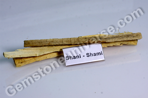 Prosopis cineraria Shami Bhasma Sacred Ash for Saturn