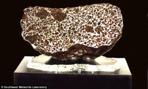The Fukang Pallasite Meteorite