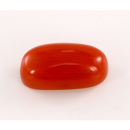 Buy red coral online| Buy Real Red Coral in Bangalore GU1503230RC