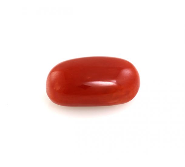 Buy Natural Organic Red Coral online | Buy Natural Natural Organic Red ...