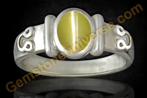 Copper Nag Snake Challa Kalsarp Dosh Finger Ring at Rs 10/piece | Snake Ring  in Jaipur | ID: 23199596148